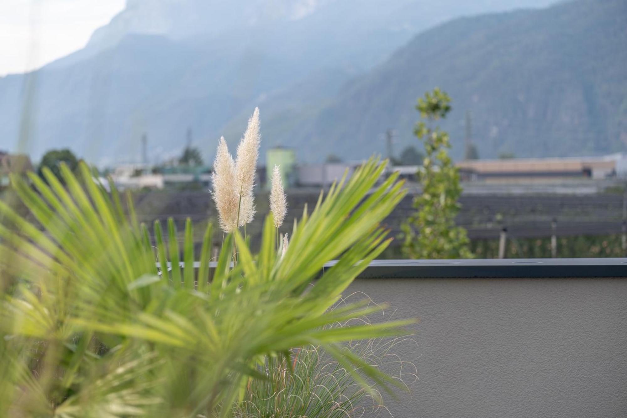 Garden Lodge Gargazon Zewnętrze zdjęcie